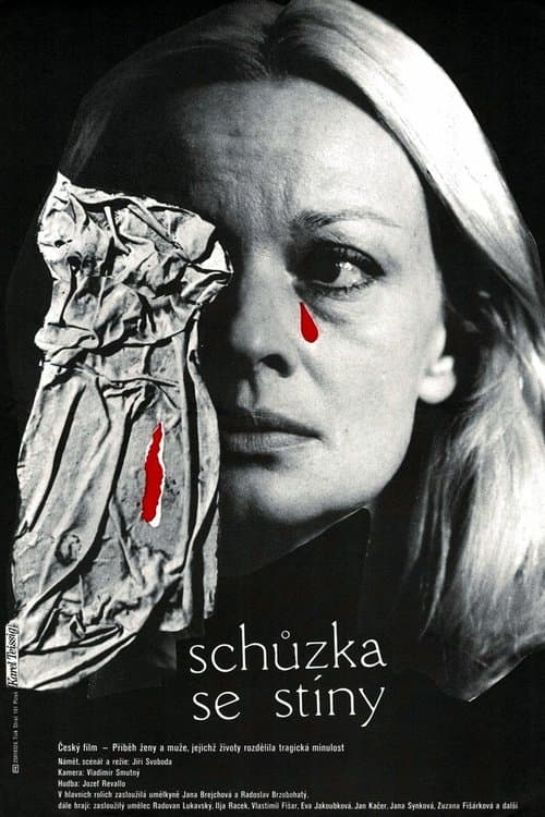 Schůzka se stíny poster
