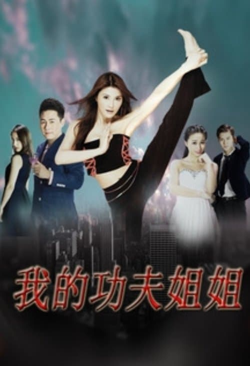 我的功夫姐姐 poster