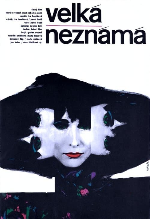 Velká neznámá poster
