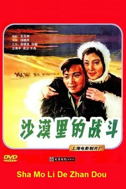 沙漠里的战斗 poster