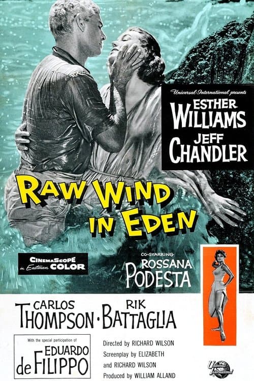 Sturm über Eden poster