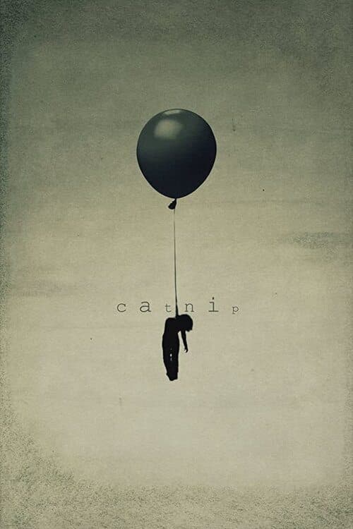 Catnip poster