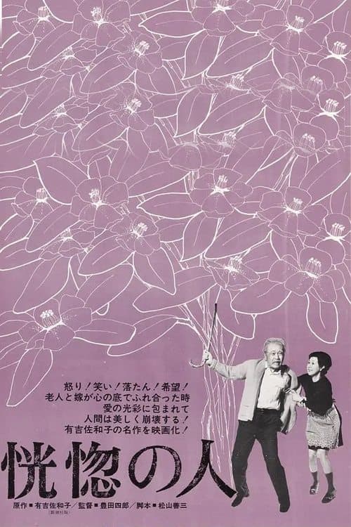 恍惚の人 poster