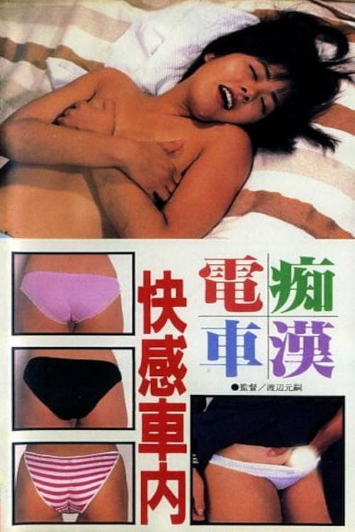 痴漢電車　快感車内 poster