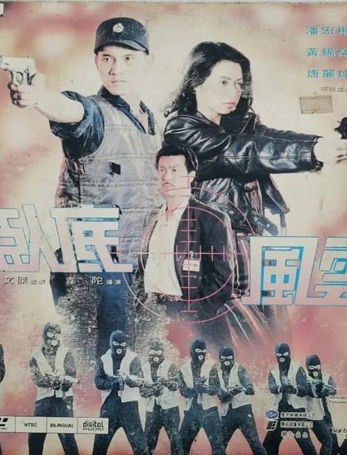 臥底風雲 poster