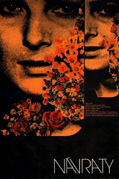 Návraty poster