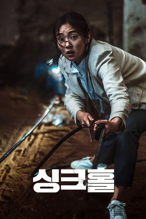 싱크홀 poster