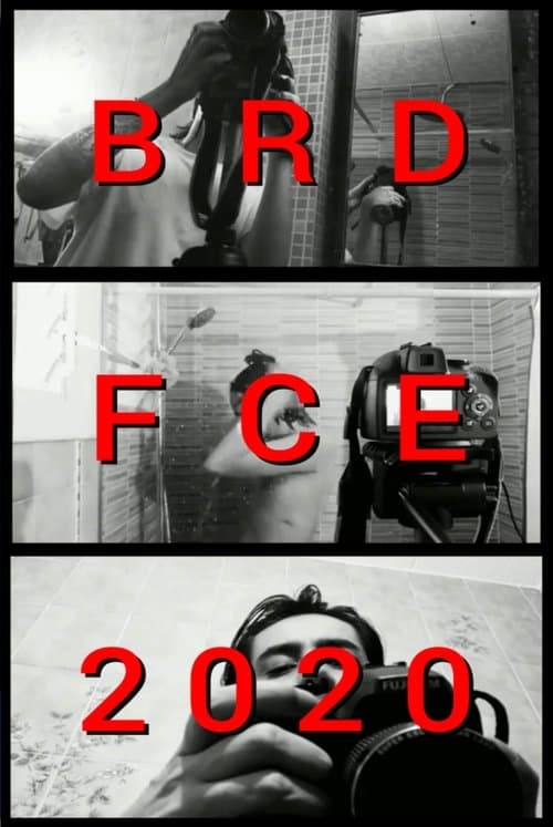 BRDFCE2020 poster