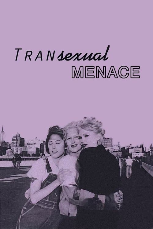 Vor Transsexuellen wird gewarnt poster