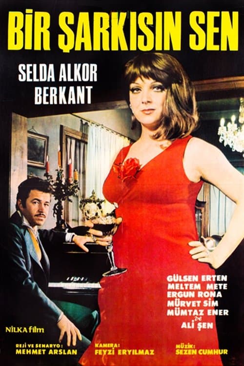 Bir Şarkısın Sen poster
