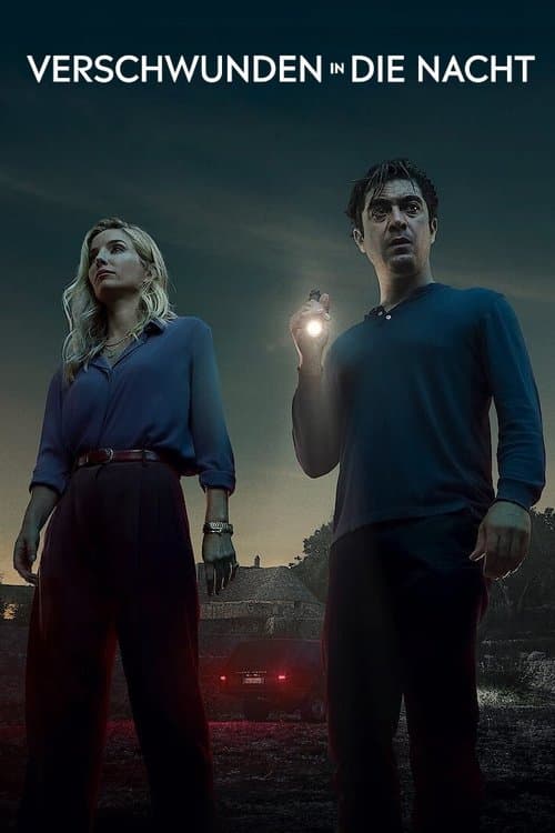 Verschwunden in die Nacht poster