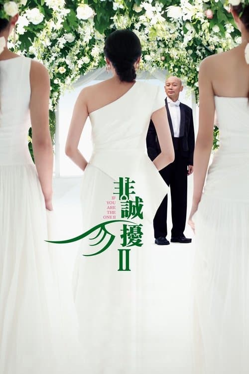 非诚勿扰2 poster