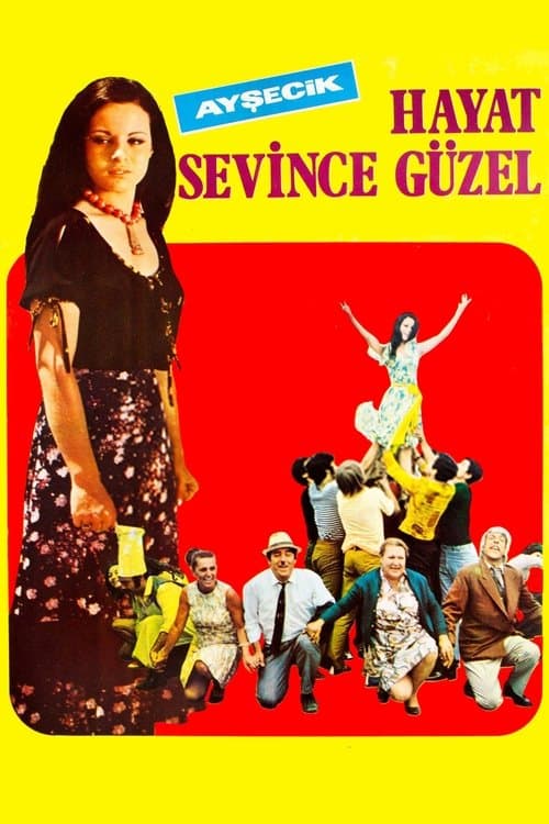 Hayat Sevince Güzel poster