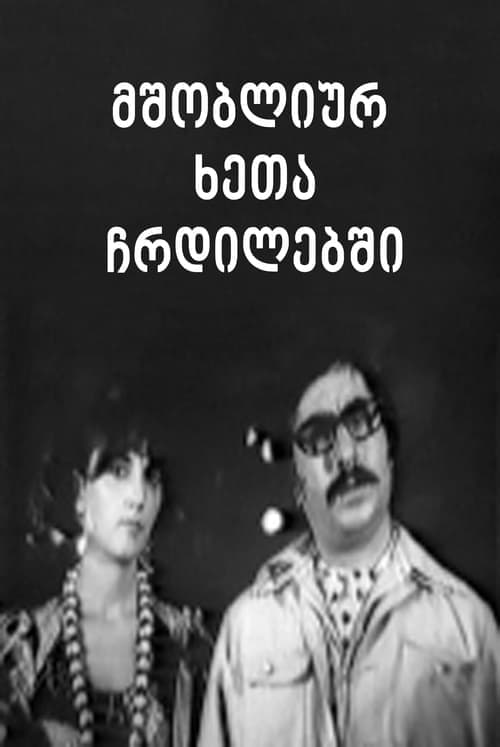 წყარო გზის პირას poster