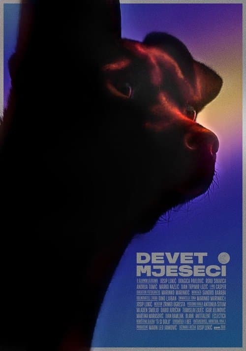 Devet mjeseci poster