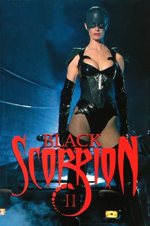 Black Scorpion II: Street Combat poster