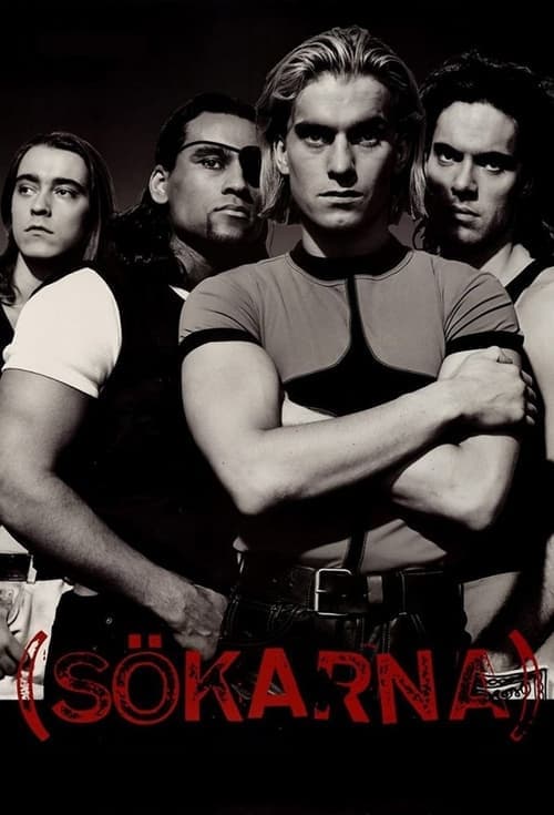 Sökarna poster