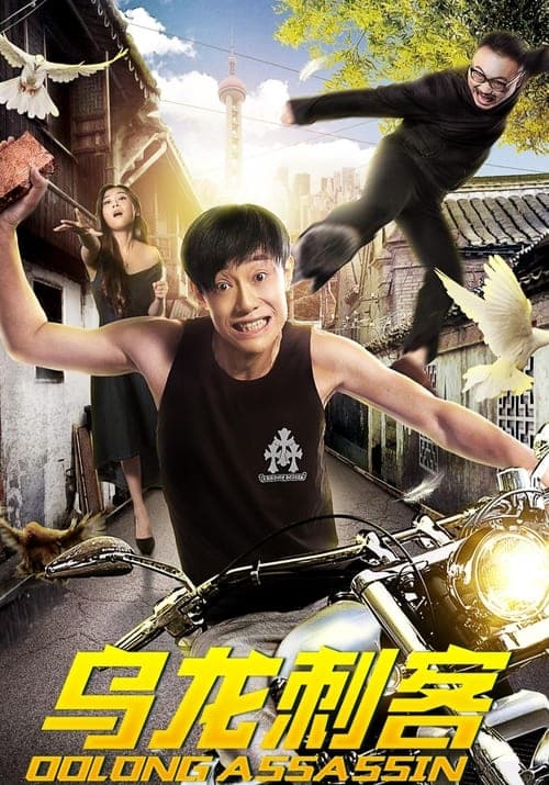 乌龙刺客 poster