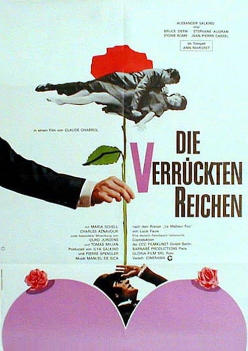 Die verrückten Reichen poster