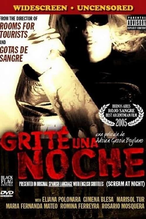 Grité una noche poster