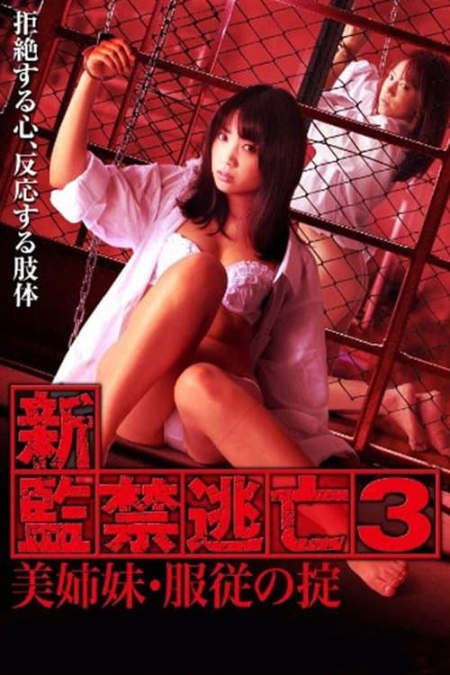 新・監禁逃亡3～美姉妹・服従の掟～ poster