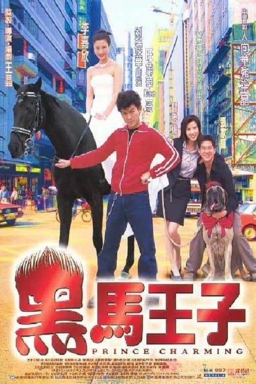 黑馬王子 poster