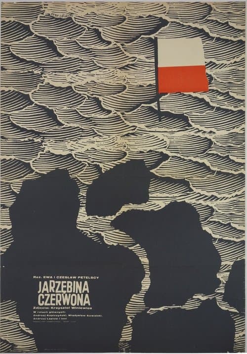 Jarzębina czerwona poster