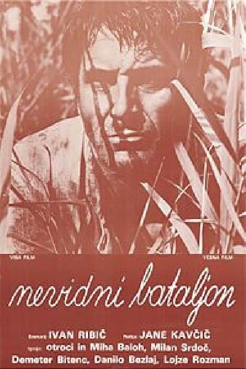 Nevidni bataljon poster