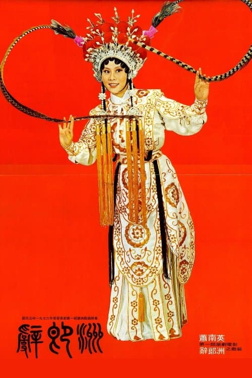 辭郎洲 poster