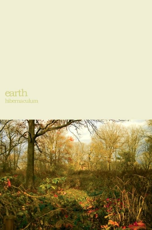 Earth: Within the Drone poster