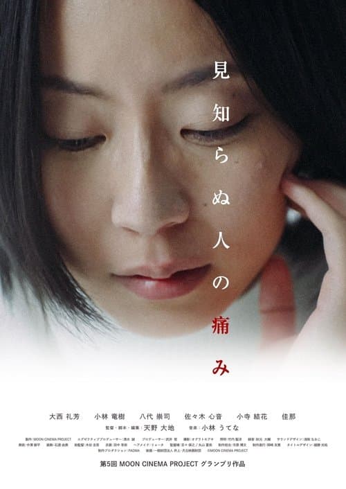 見知らぬ人の痛み poster