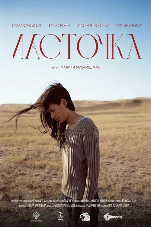 Ласточка poster