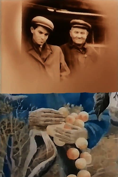 У білій стужі сонце України poster