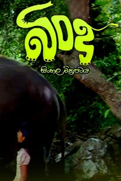 Bindu poster