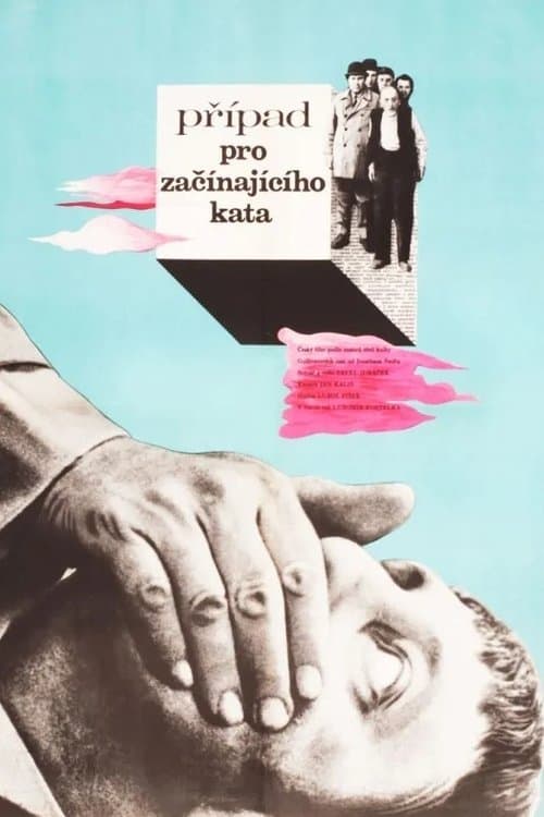 Případ pro začínajícího kata poster