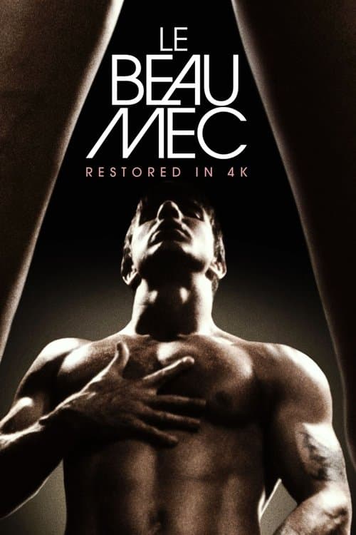 Le Beau Mec poster