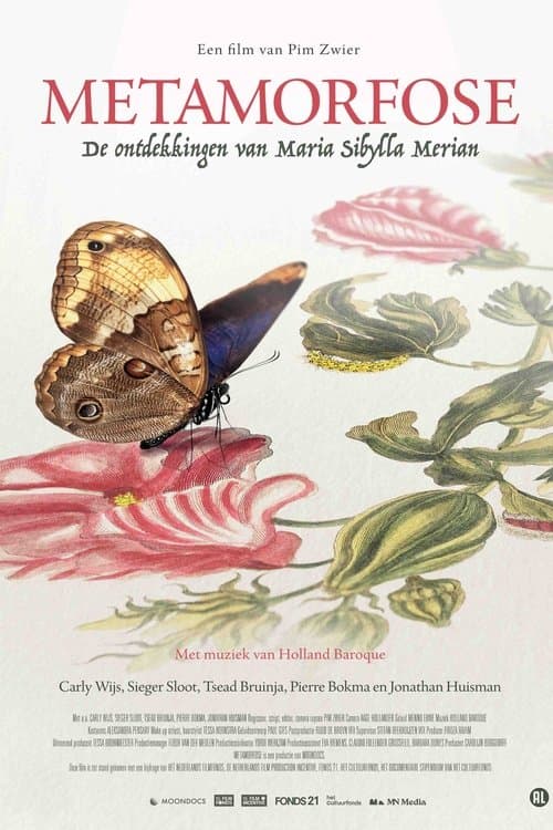 Metamorfose poster