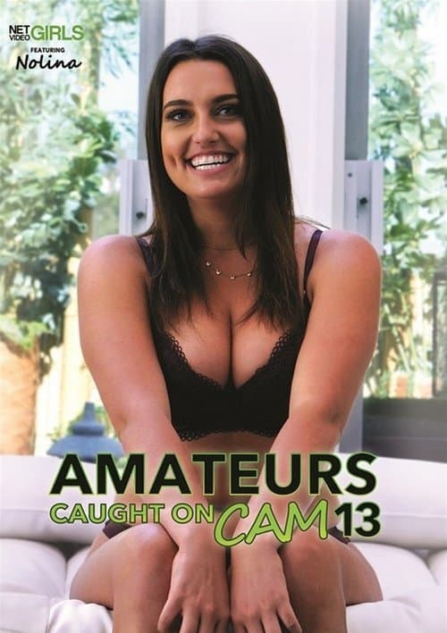 Amateurs Caught on Cam 13 poster
