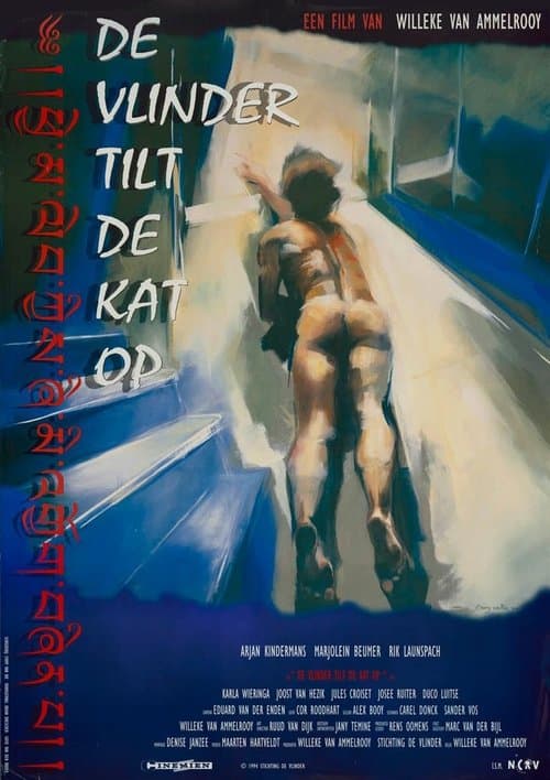 De vlinder tilt de kat op poster