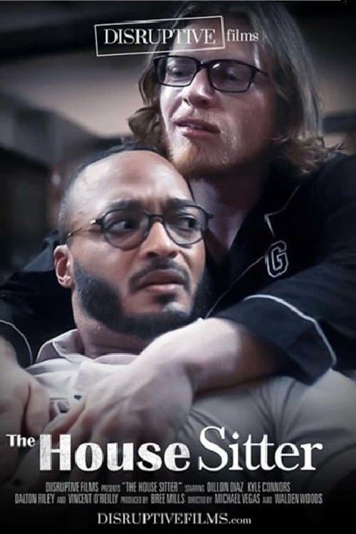 House Sitter poster