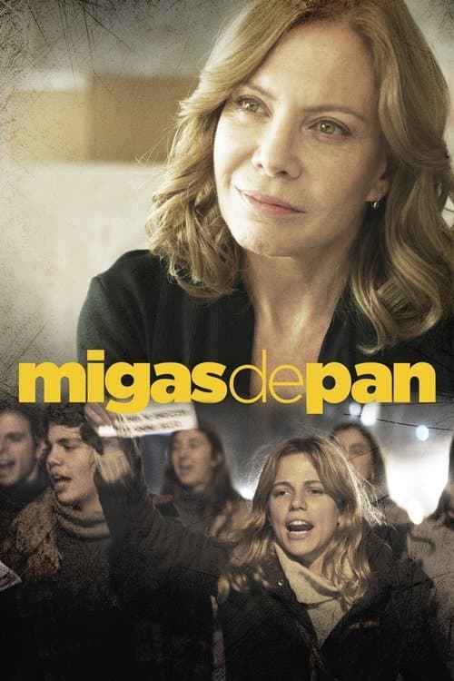 Migas de pan poster