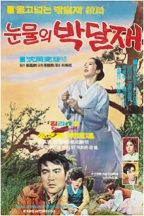 눈물의 박달재 poster