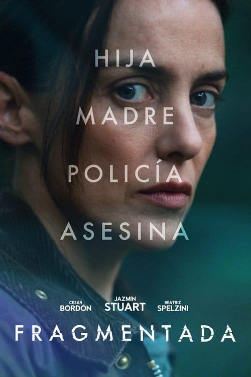 Fragmentada poster