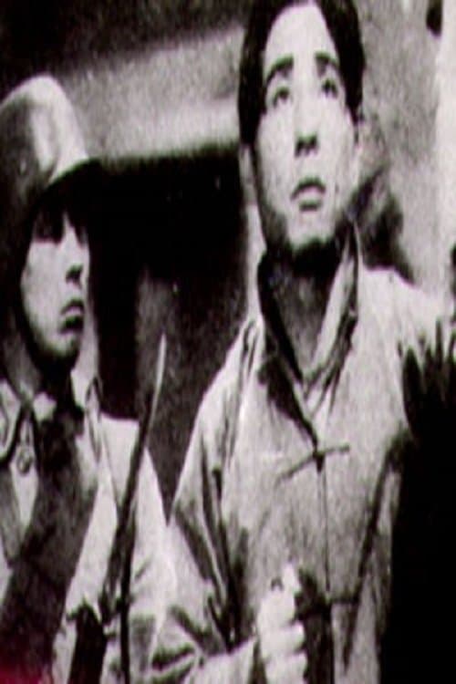 保卫我们的土地 poster