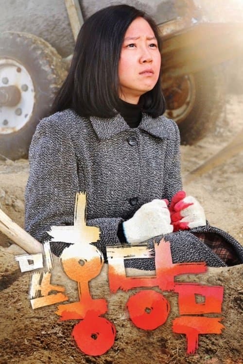 미쓰 홍당무 poster