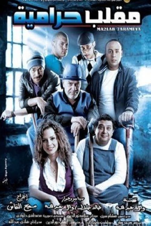 مقلب حرامية poster
