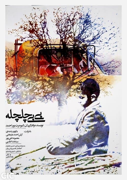 بی‌بی چلچله poster