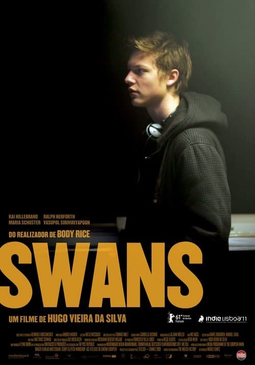 Swans poster