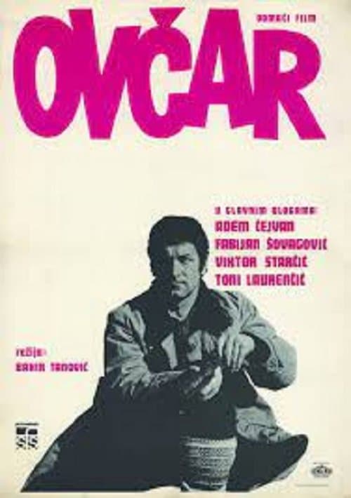 Ovčar poster