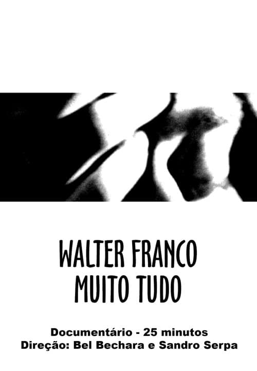 Walter Franco Muito Tudo poster